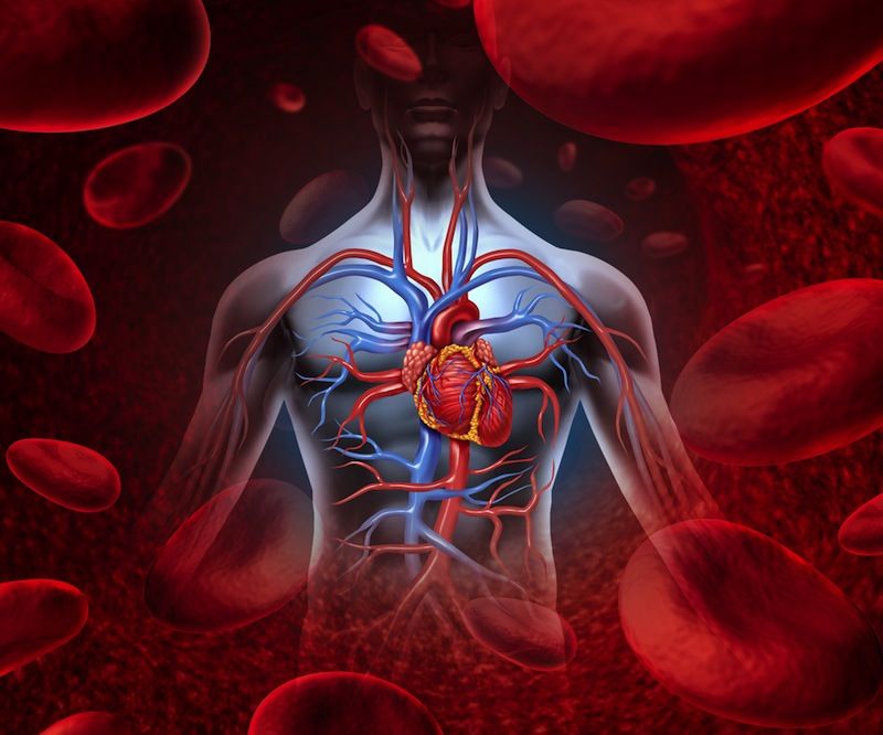 Blood circulation&purifier