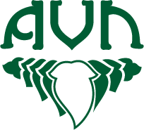 AVN