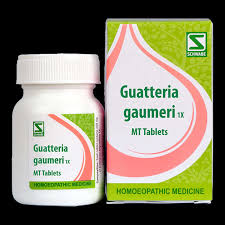 Guatteria gaumeri 1x 20gms