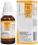 B52 DROPS (ARTHRALGIA) 30ml