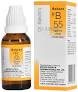 B55 DROPS (FEM RHEUMA)30ml